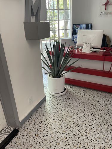 Customer photo review of Hoja Elegante