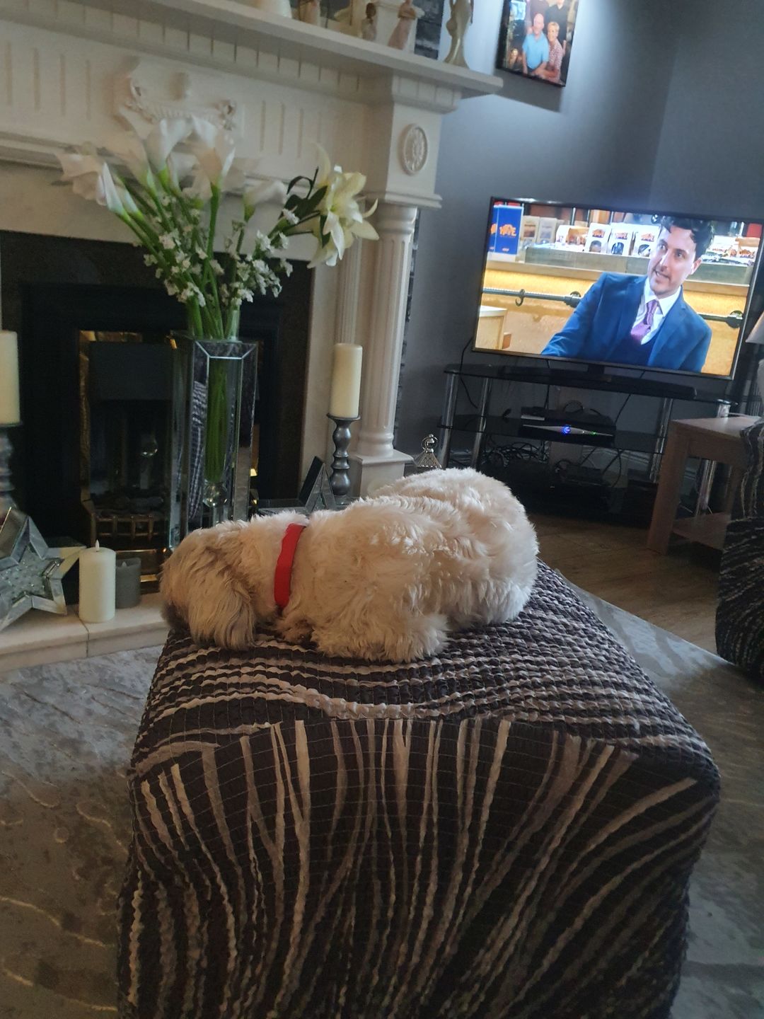 Customer photo review of Footstool Cover - Universo Grey, Microfibra Printed