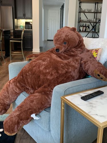 Customer photo review of SKOGGY BEAR