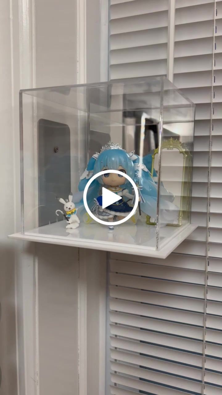 Customer video review of Versatile Acrylic Display Cases with Double Sheet Base