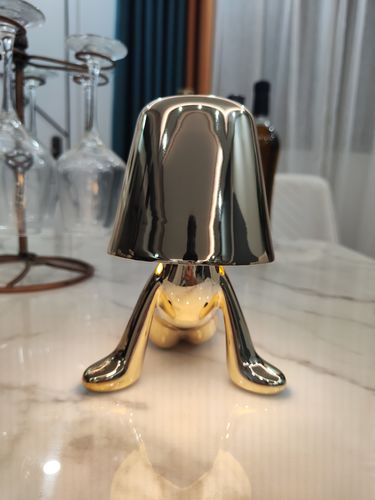 Customer photo review of Thinker - Lamp Collection