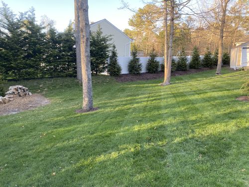 Customer photo review of Protene Performance Spring Fertilizer
