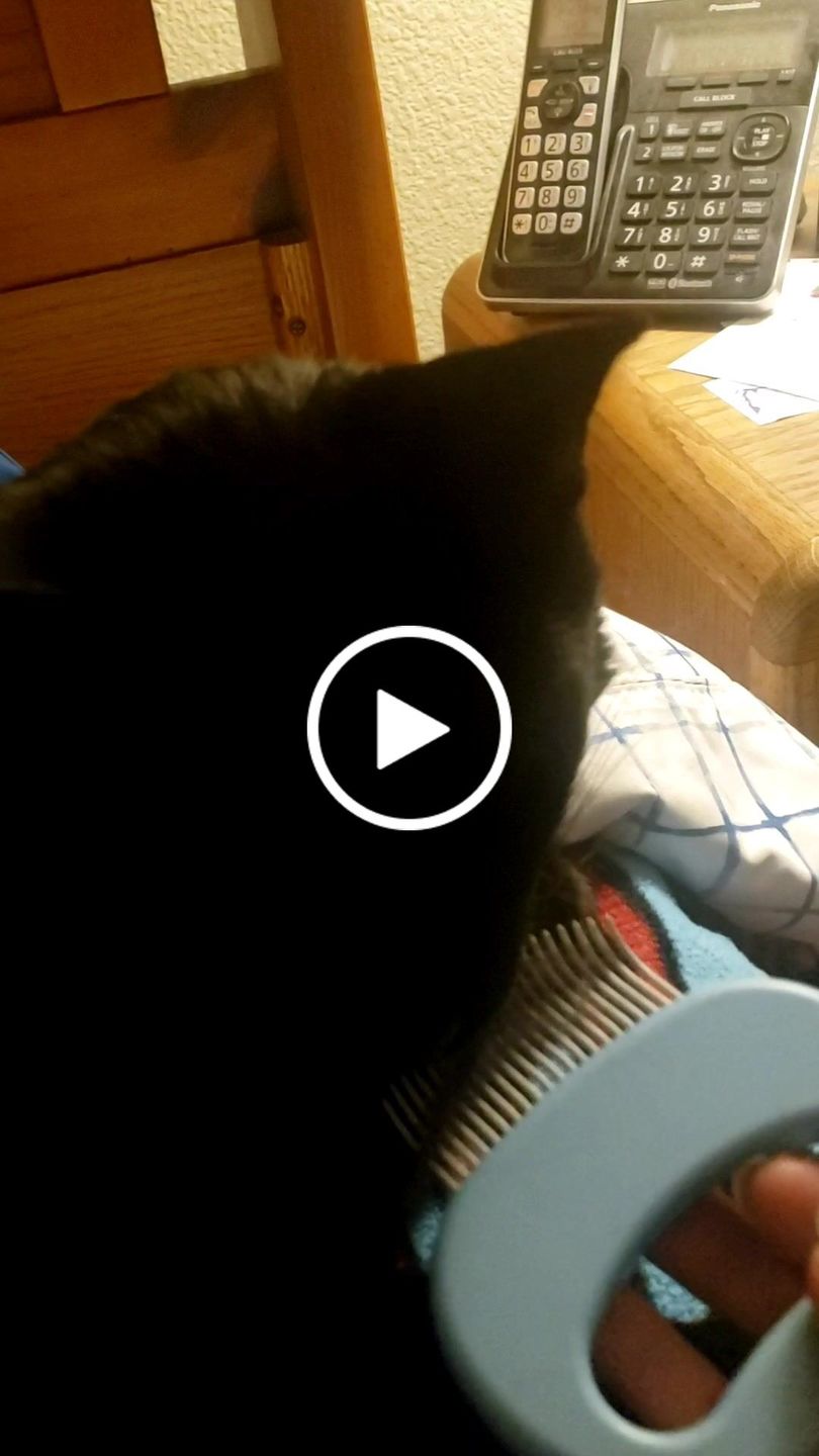 Customer video review of Cat Hair Removal Massaging Shell Comb