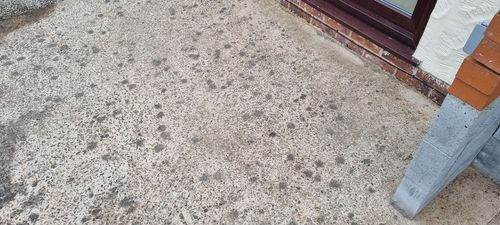 Customer photo review of LTP Black Spot & Algae Remover 5 Litre