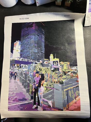 Customer photo review of Custom Paint By Numbers Kit - Upload Your Photo - Brush Set Included