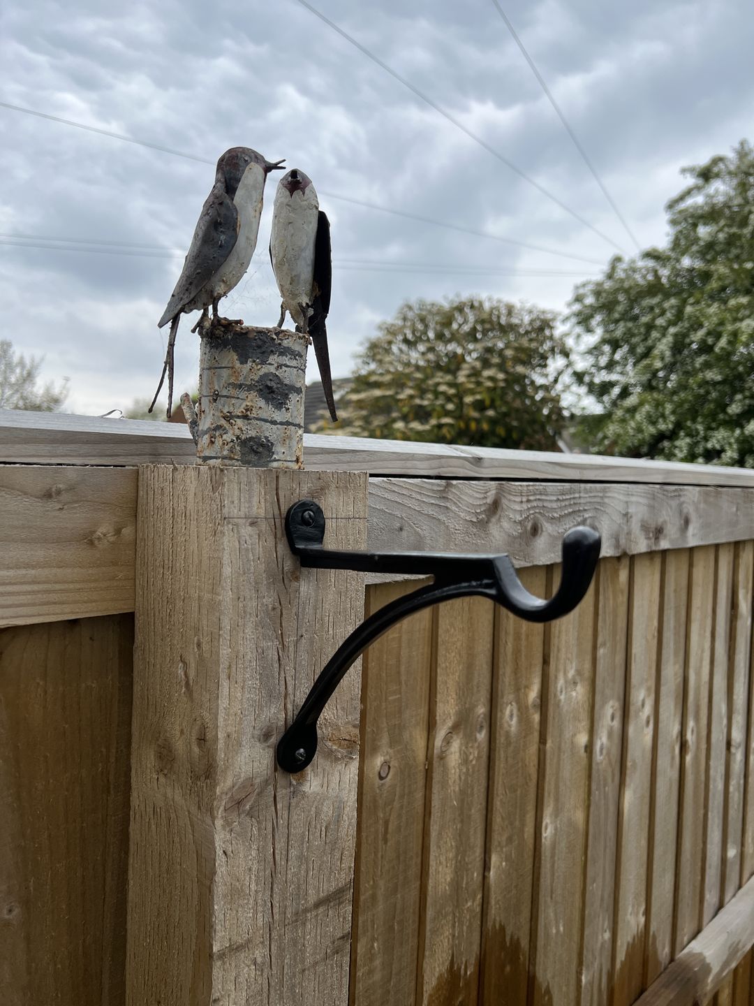 Customer photo review of 7 & 10 Inch Cast Iron Hanging Hook Bracket