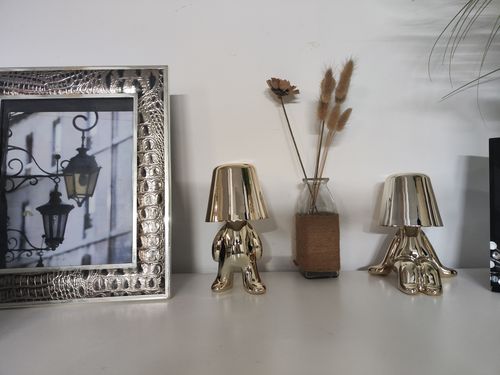 Customer photo review of Thinker - Lamp Collection