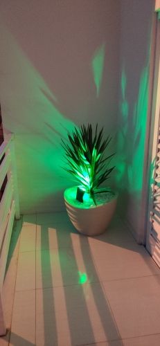 Customer photo review of TSUN Solar Landscape Spotlights