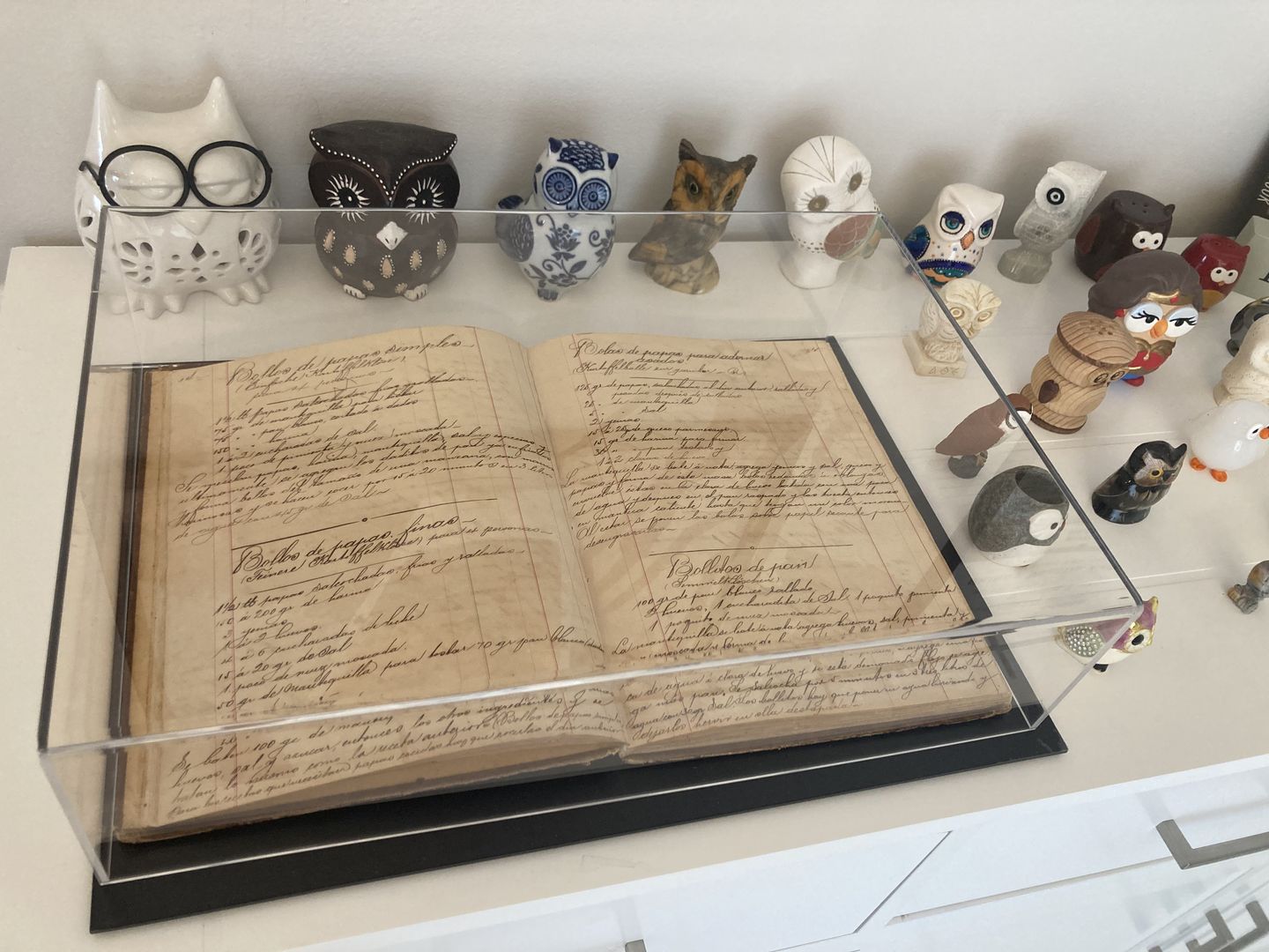 Customer photo review of Acrylic Double Sheet Book Display Cases