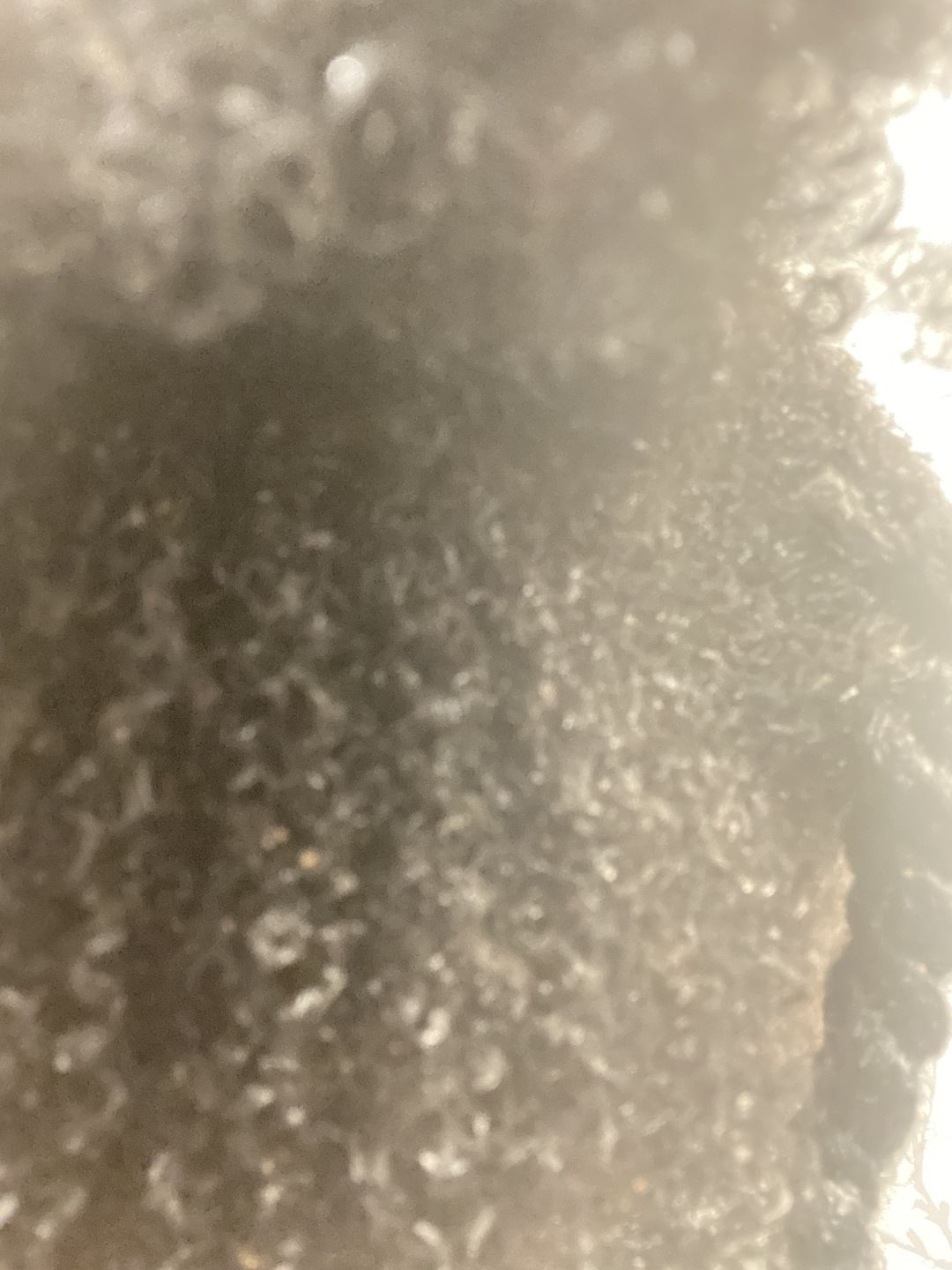Customer photo review of Ambunu 150g