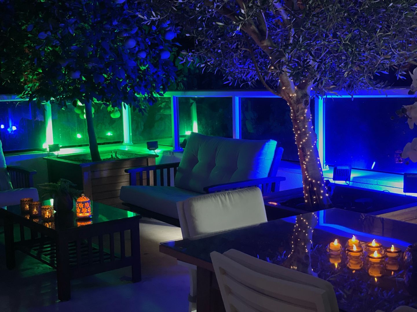 Customer photo review of TSUN 4/7 LEDs Outdoor Solar Spot Lights