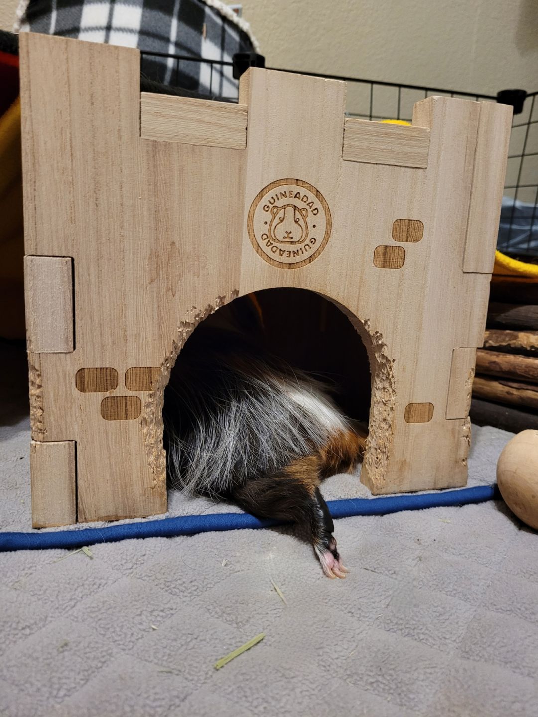 Customer photo review of GuineaDad Queen's Castle