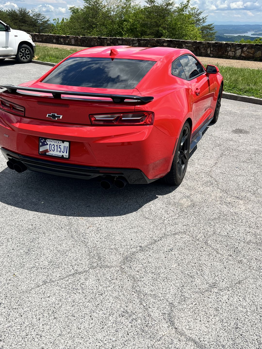 Customer photo review of Camaro Side Skirts Rocker Panels | ZL1 Performance Package