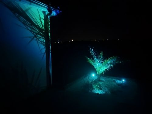 Customer photo review of TSUN RGB LED Outdoor Solar Spotlight
