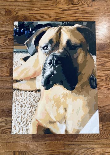 Customer photo review of Create a Custom Pet Paint by Numbers