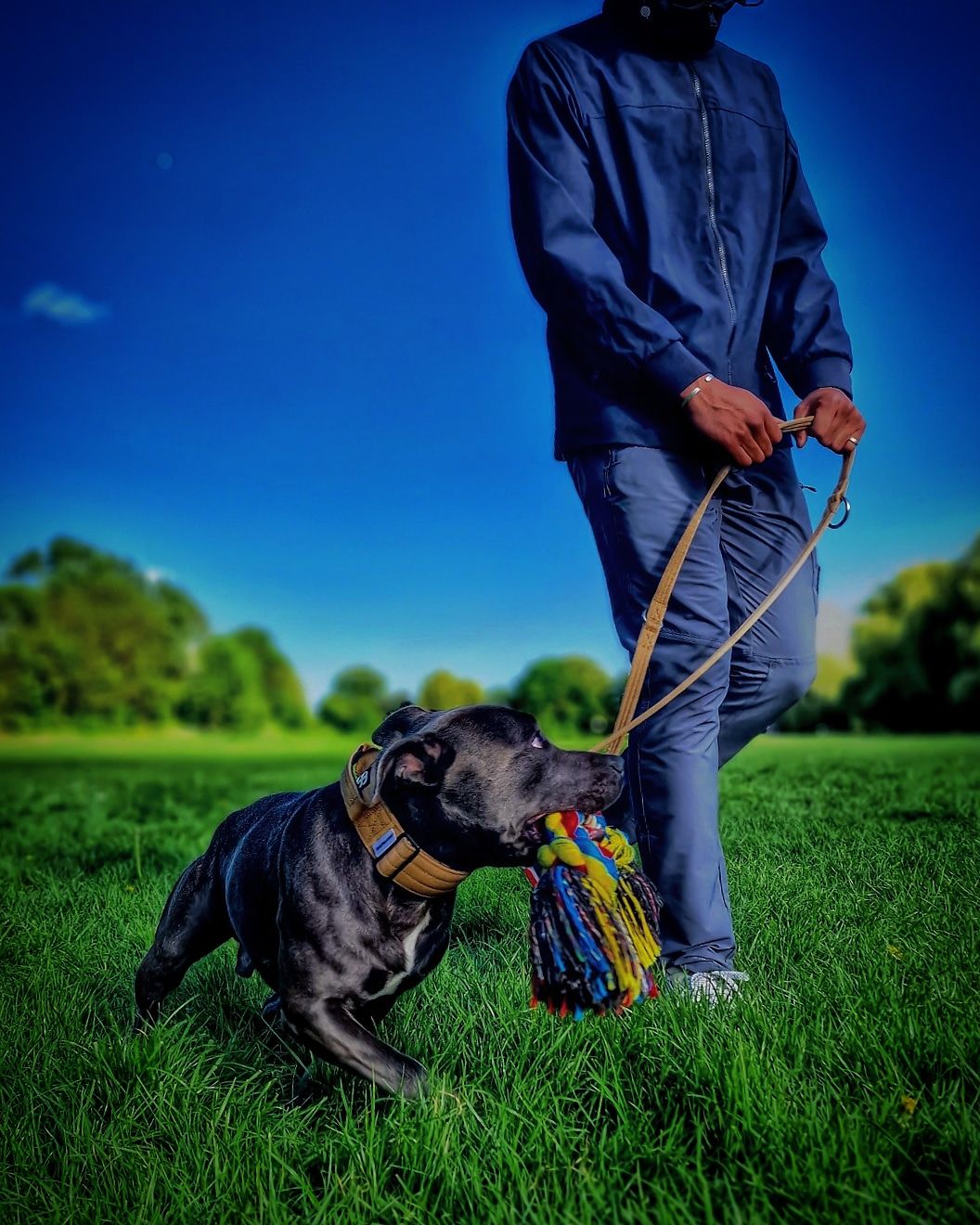 Customer photo review of Double Ended Training Lead | All Breeds - Durable & Soft 2m Lead - Military Tan