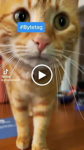 Customer video review of Explorer