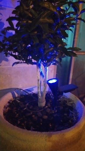 Customer photo review of TSUN 4/7 LEDs Outdoor Solar Spot Lights