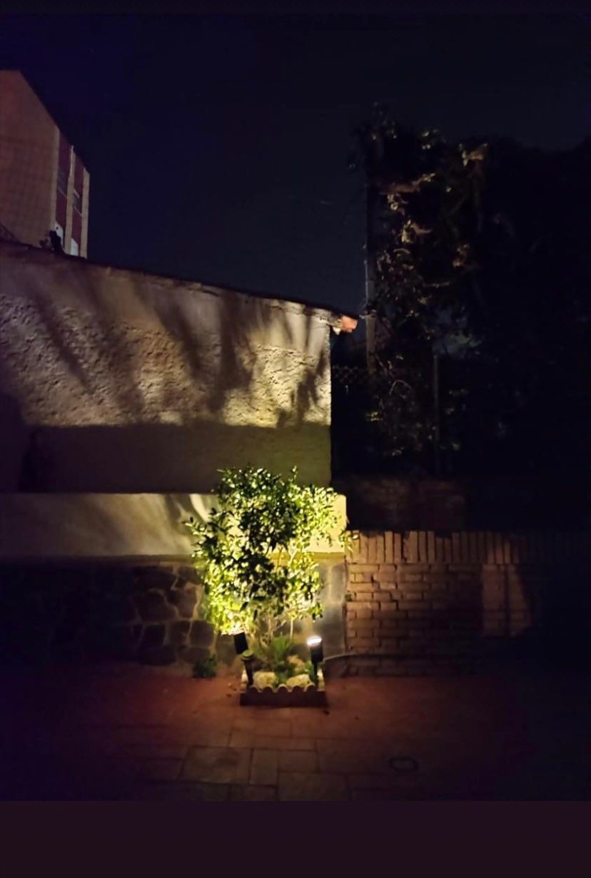 Customer photo review of TSUN Solar Landscape Spotlights
