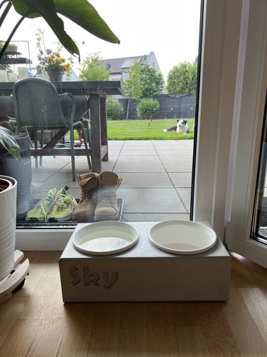 Customer photo review of Futterstation PATERA DUO Personalisiert