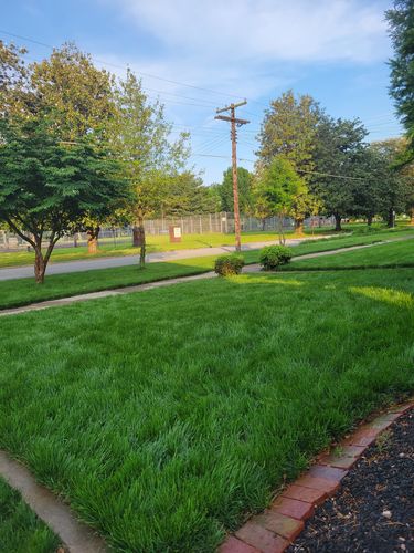 Customer photo review of Protene Performance Spring Fertilizer