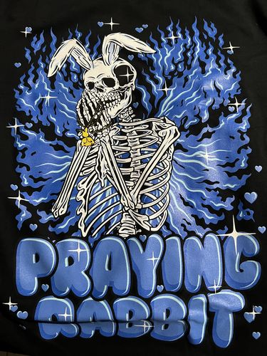 Customer photo review of Praying Rabbit Blue Angel Wings Tee