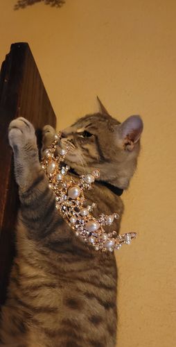 Customer photo review of Mythological Pearl Tiara