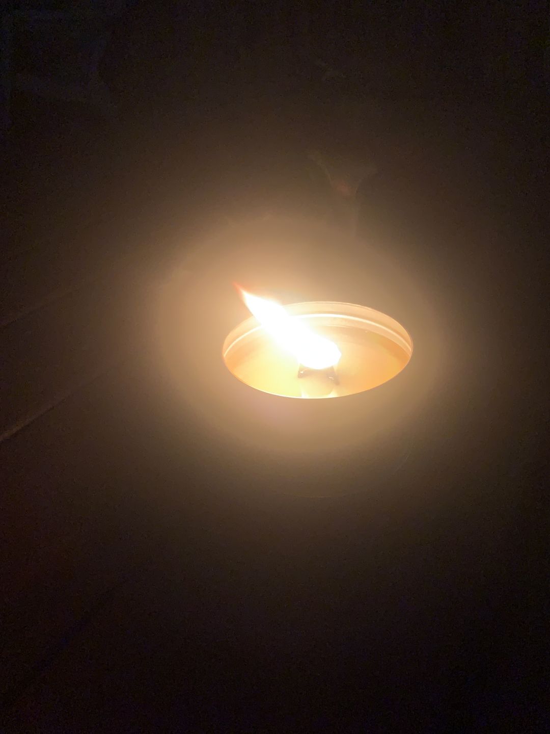 Customer photo review of The Outdoor Candle - Citronella