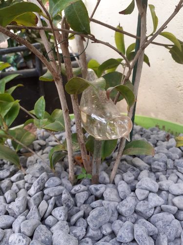 Customer photo review of Mon petit oiseau - Le Jardin de Mamie®