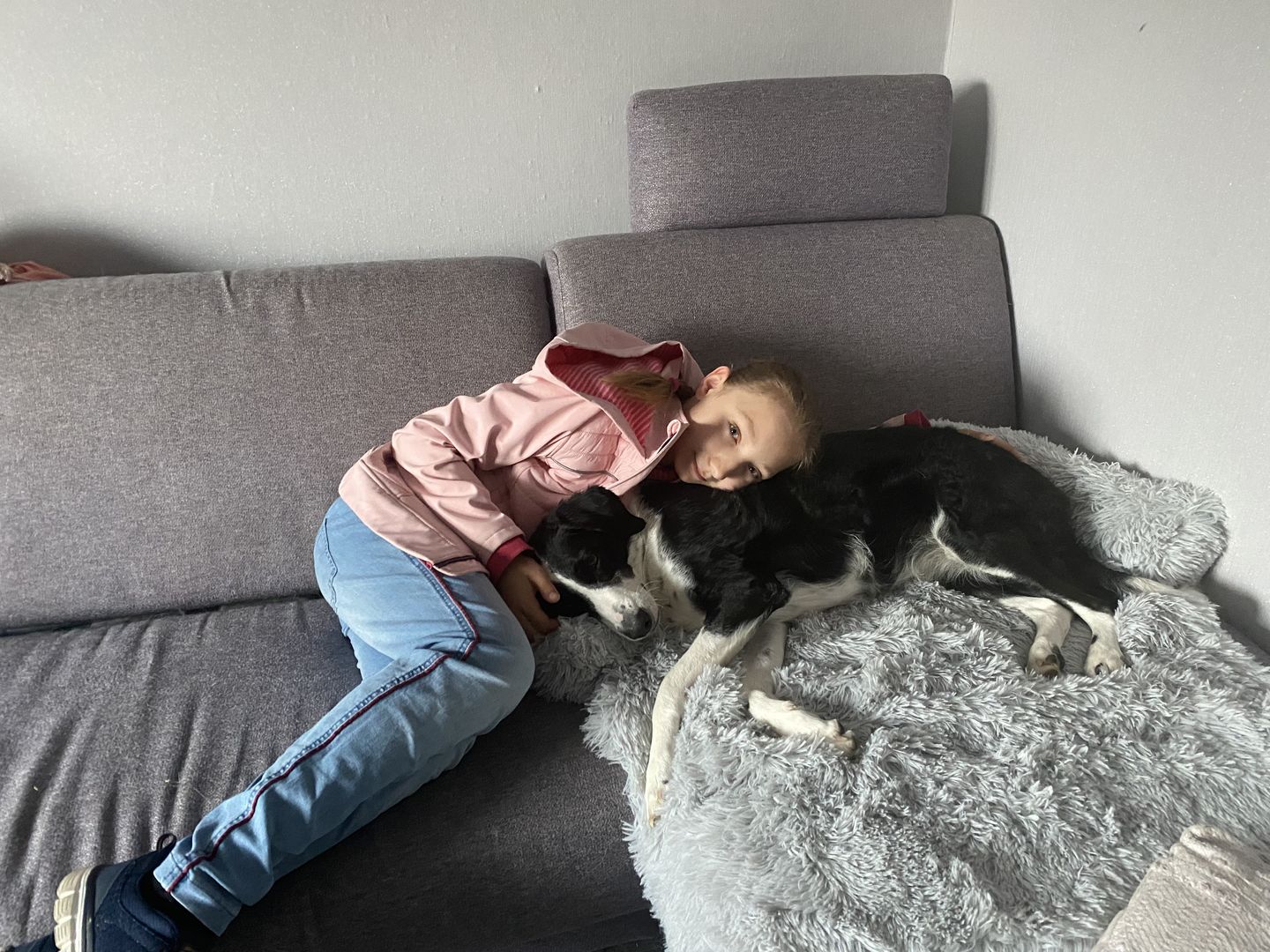 Customer photo review of *NEU* Emmalove - Flauschiges Hundebett für dein Sofa