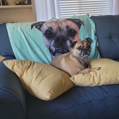 Customer photo review of Custom Pet Print Fleece Blanket