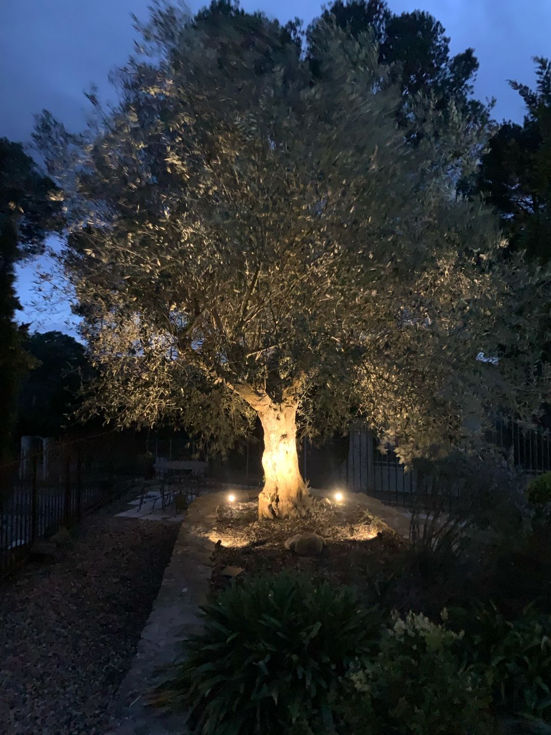 Customer photo review of TSUN Separate LED Solar Spot Lights Warm White