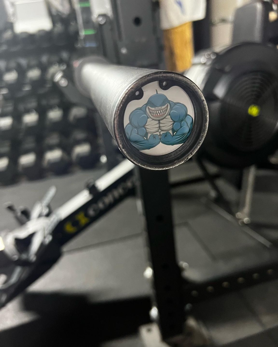 Customer photo review of Shark beastMode Barbell End Cap