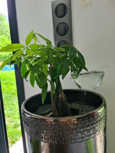 Customer photo review of Mon petit oiseau - Le Jardin de Mamie®