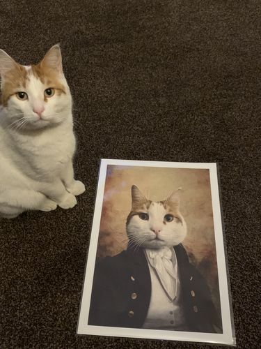 Customer photo review of The Baron - Custom Vintage Pet Portrait