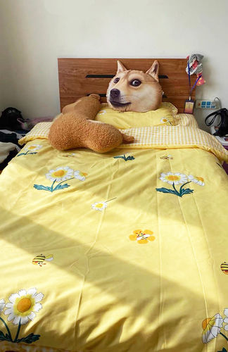 Customer photo review of Honey Bee Aesthetic Bedding Set