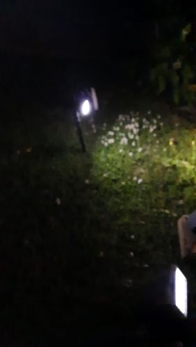 Customer photo review of TSUN Solar Landscape Spotlights