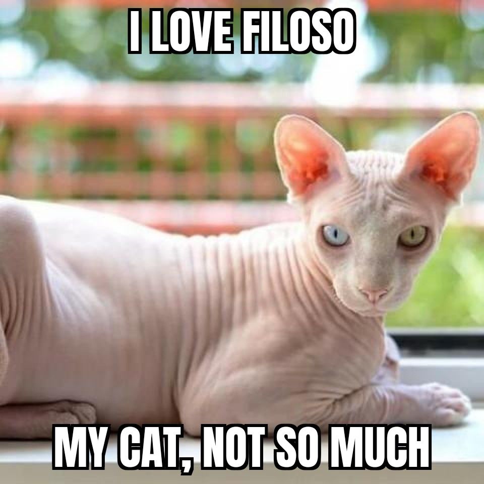 Customer photo review of Filoso Razor Blades