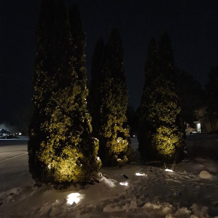 Customer photo review of TSUN Separate LED Solar Spot Lights Warm White