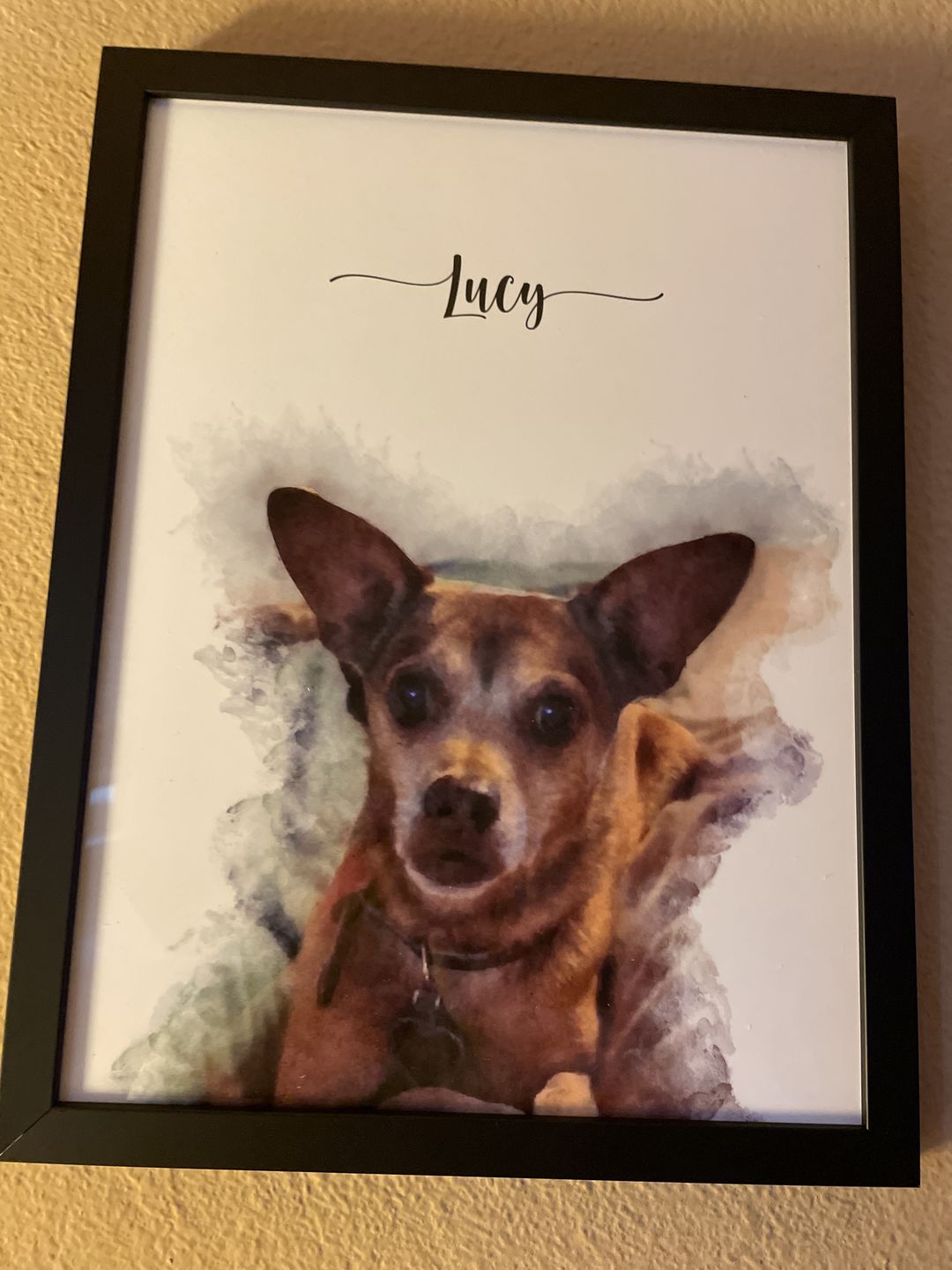 Customer photo review of Custom Pet Portrait