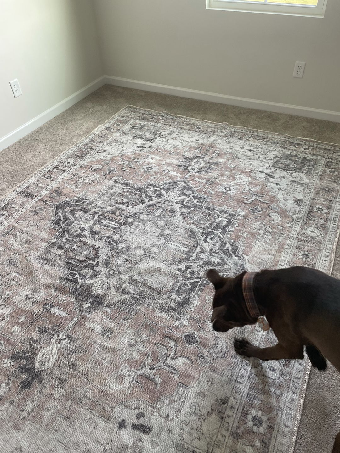 Customer photo review of Distressed Vintage Cezanne Blush Area Rug
