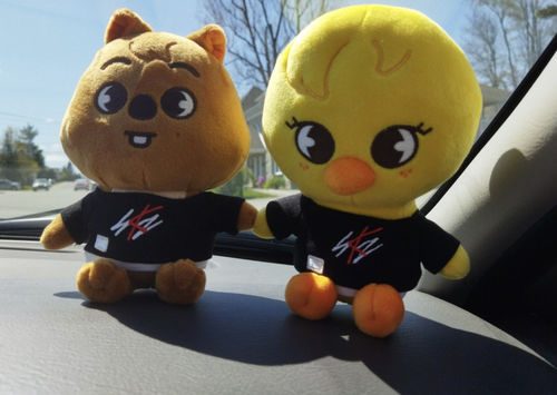 Customer photo review of Official Stray Kids SKZOO Plush (Original Ver)