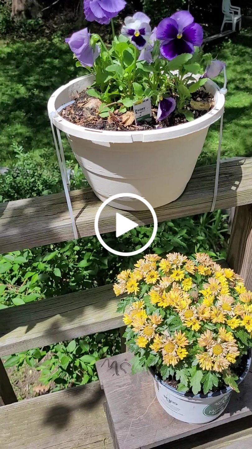 Customer video review of Worm Castings