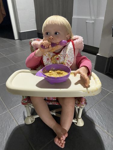 Customer photo review of Paloma baby chair v2
