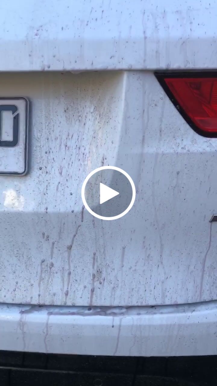 Customer video review of Iron Terminator 4L