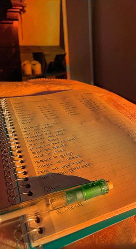 Customer photo review of The Sunset Lamp™