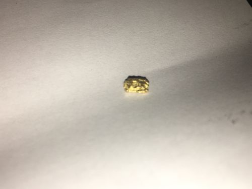 Customer photo review of Nugget Reserve 'MUSEUM SPECIMEN CHASE' - Gold Panning Paydirt Concentrate