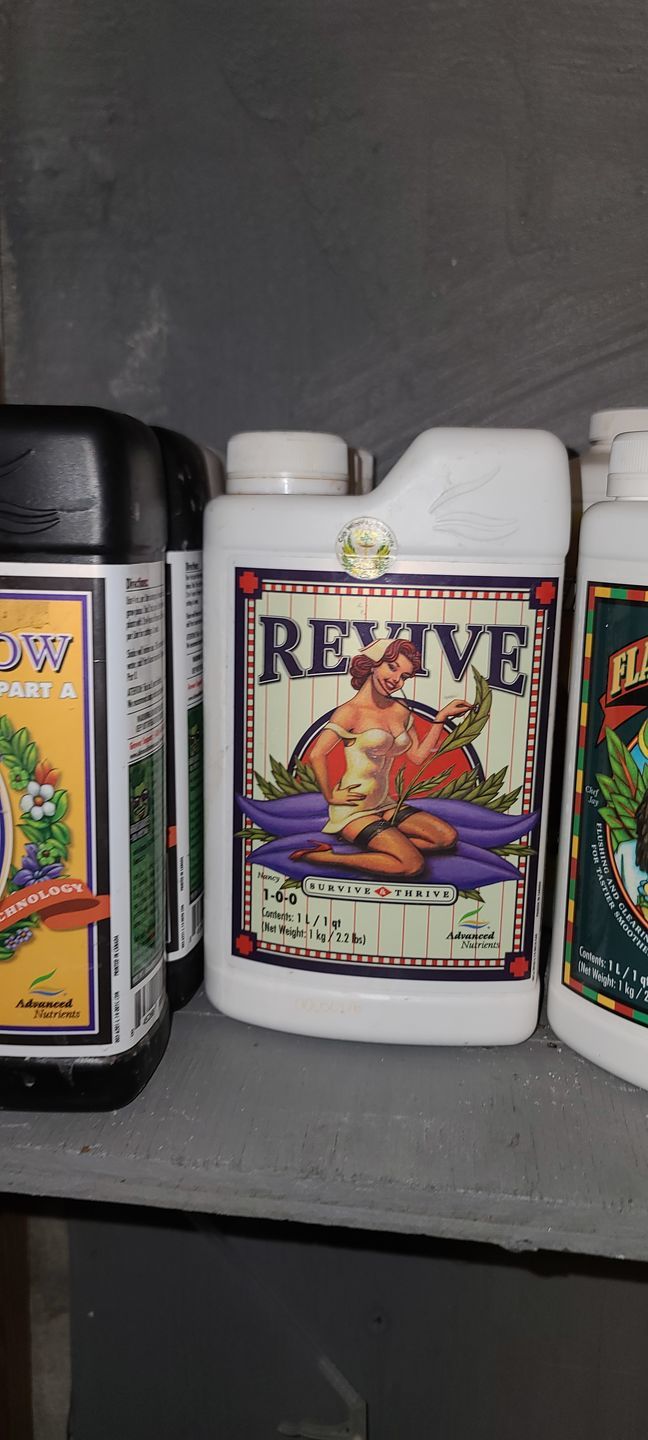 Customer photo review of Advanced Nutrients Revive