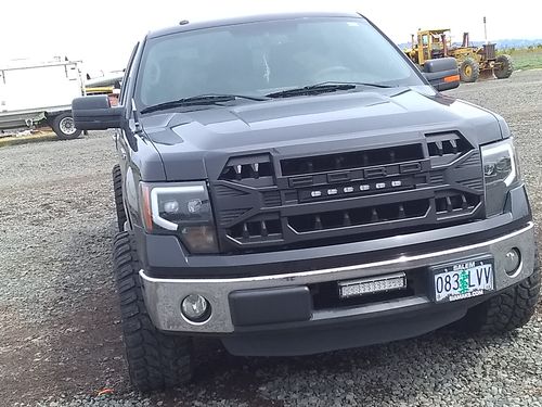 Customer photo review of Armor Grille w/Off-Road Lights, Replaceable Letters- Matte Black for 2009-2014 Ford F150