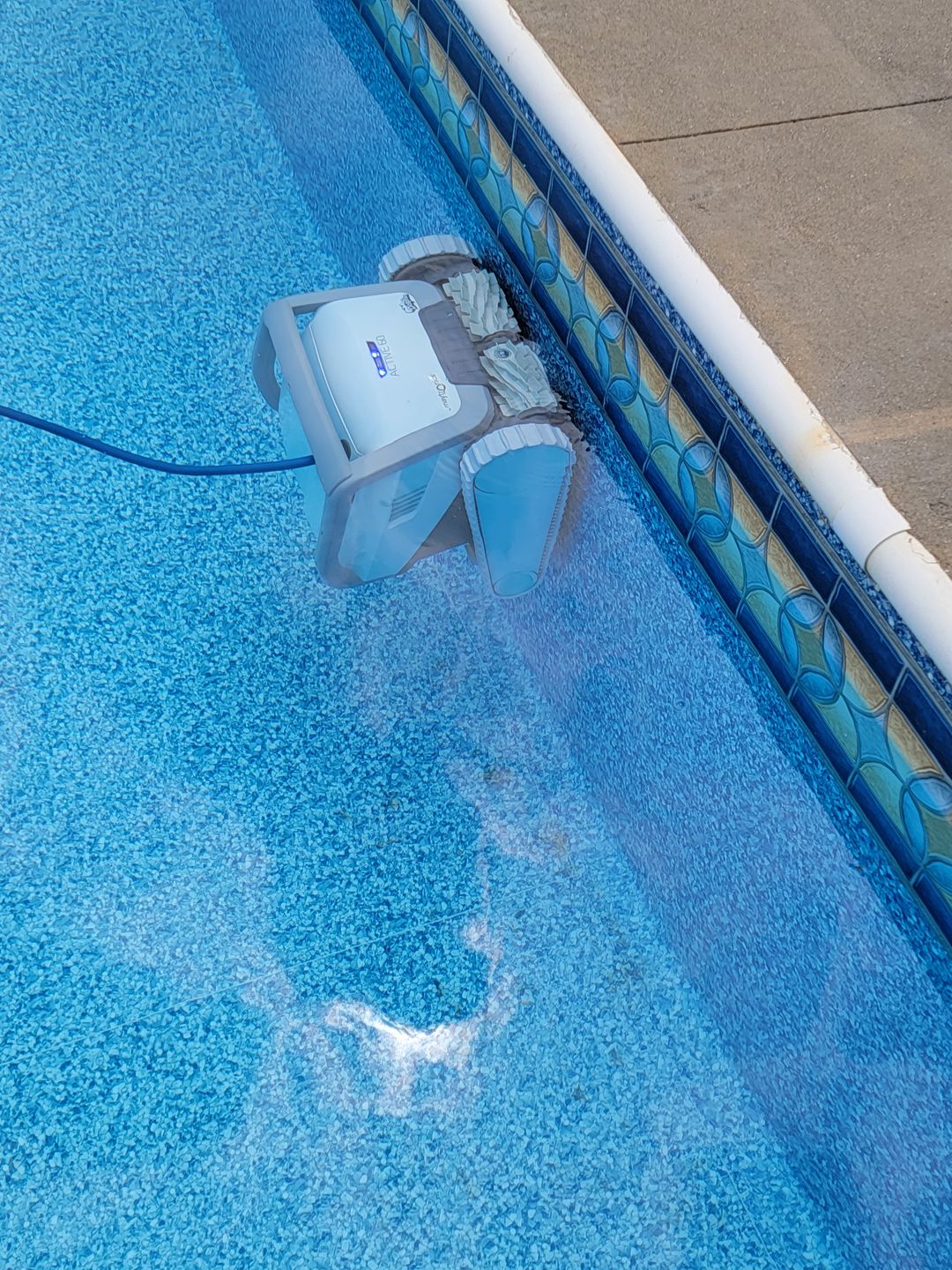 Customer photo review of Dolphin Active 60  Robotic Pool Cleaner